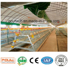 Automatic Chicken Cage for Layer Broiler Pullet